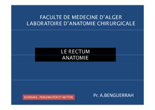 anatomie2an-rectum.pdf