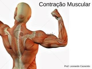 534a45da_Sistema_Muscular_2.ppt